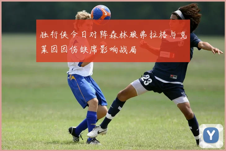 独行侠今日对阵森林狼弗拉格与克莱因因伤缺席影响战局