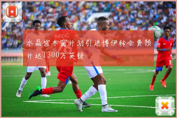 水晶宫冬窗计划引进博伊转会费预计达1300万英镑